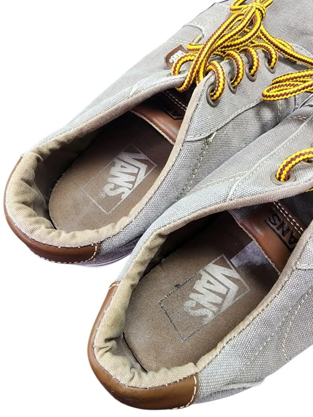 Vans bishop canvas